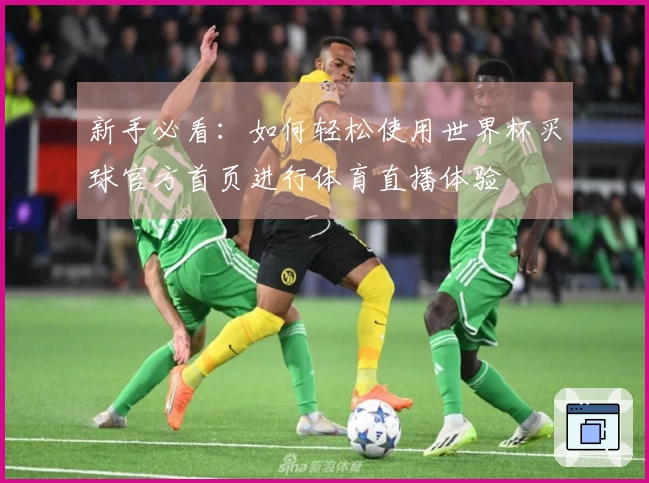 新手必看：如何轻松使用世界杯买球官方首页进行体育直播体验