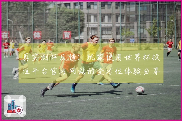真实测评反馈：玩家使用世界杯投注平台官方网站的全方位体验分享