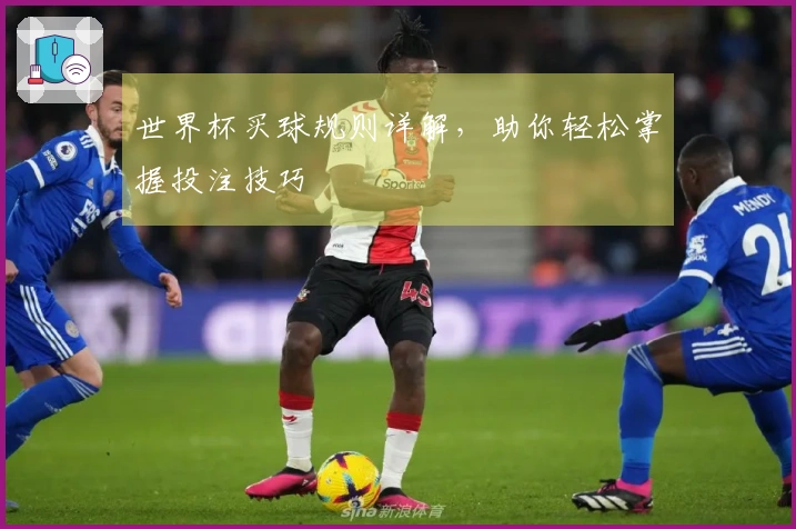 世界杯买球规则详解，助你轻松掌握投注技巧