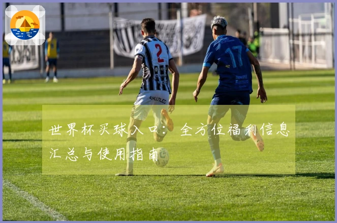 世界杯买球入口：全方位福利信息汇总与使用指南