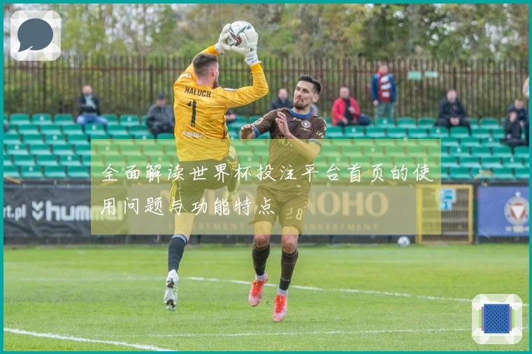 全面解读世界杯投注平台首页的使用问题与功能特点
