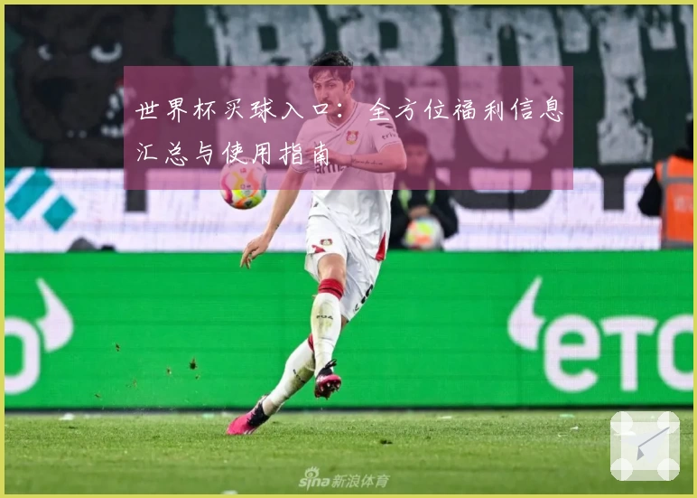 世界杯买球入口：全方位福利信息汇总与使用指南