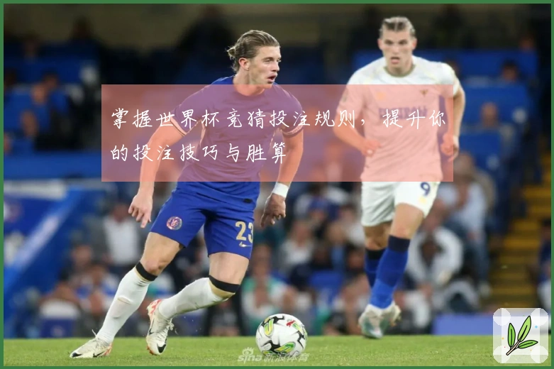 掌握世界杯竞猜投注规则，提升你的投注技巧与胜算