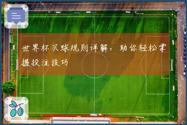 世界杯买球规则详解，助你轻松掌握投注技巧