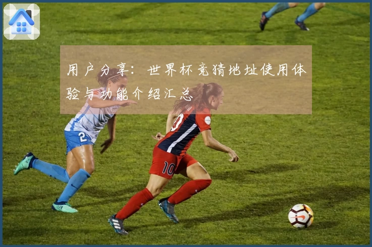 用户分享:世界杯竞猜地址使用体验与功能介绍汇总