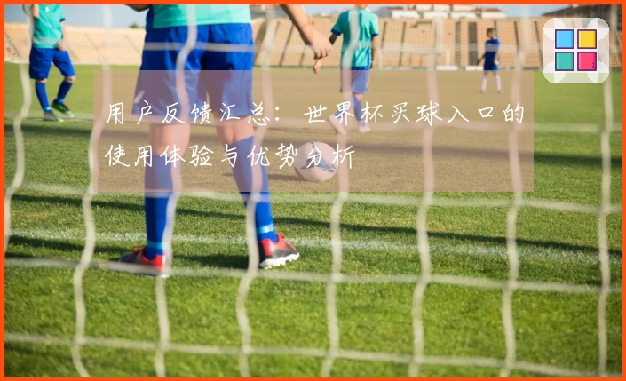用户反馈汇总：世界杯买球入口的使用体验与优势分析