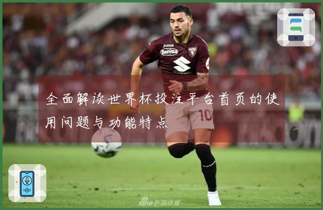 全面解读世界杯投注平台首页的使用问题与功能特点