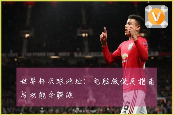 世界杯买球地址：电脑版使用指南与功能全解读