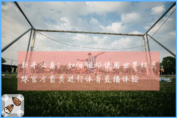 新手必看：如何轻松使用世界杯买球官方首页进行体育直播体验